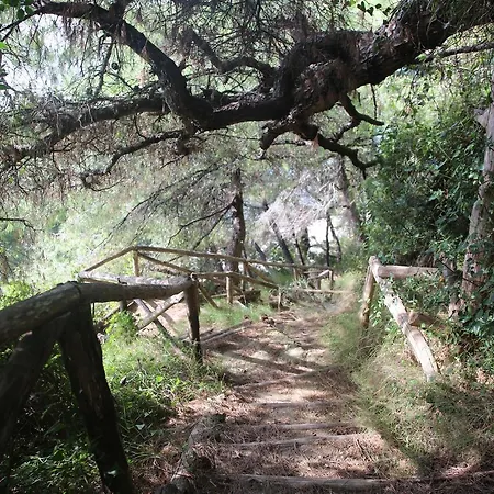 Romaric Mt. Garden House, Siviri Βίλα *